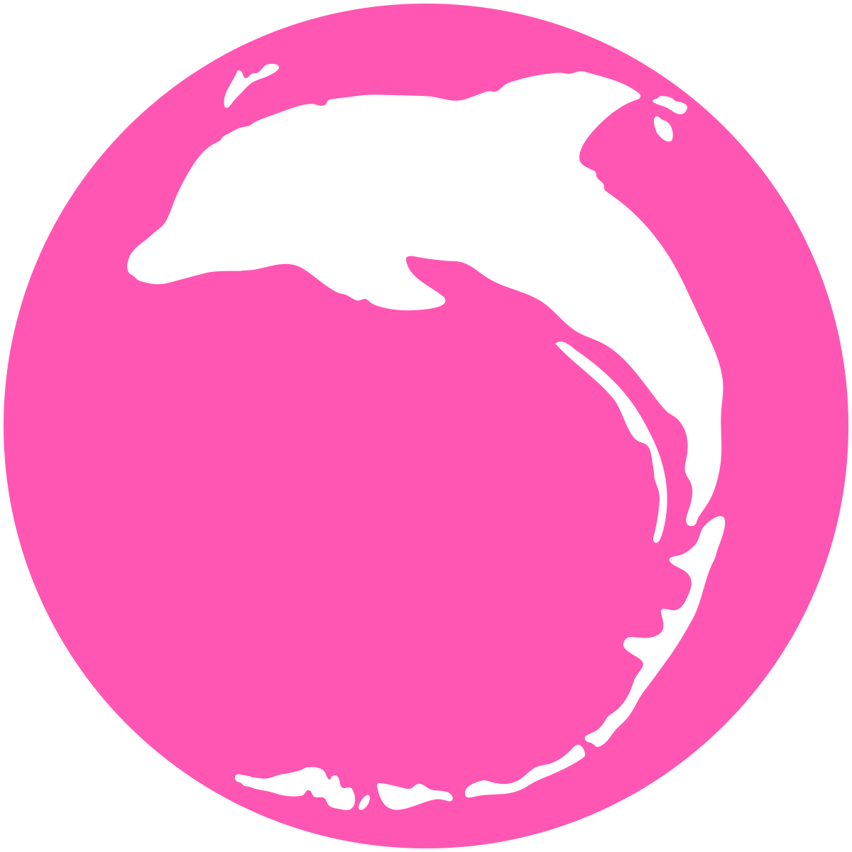 Dolphin Life logo